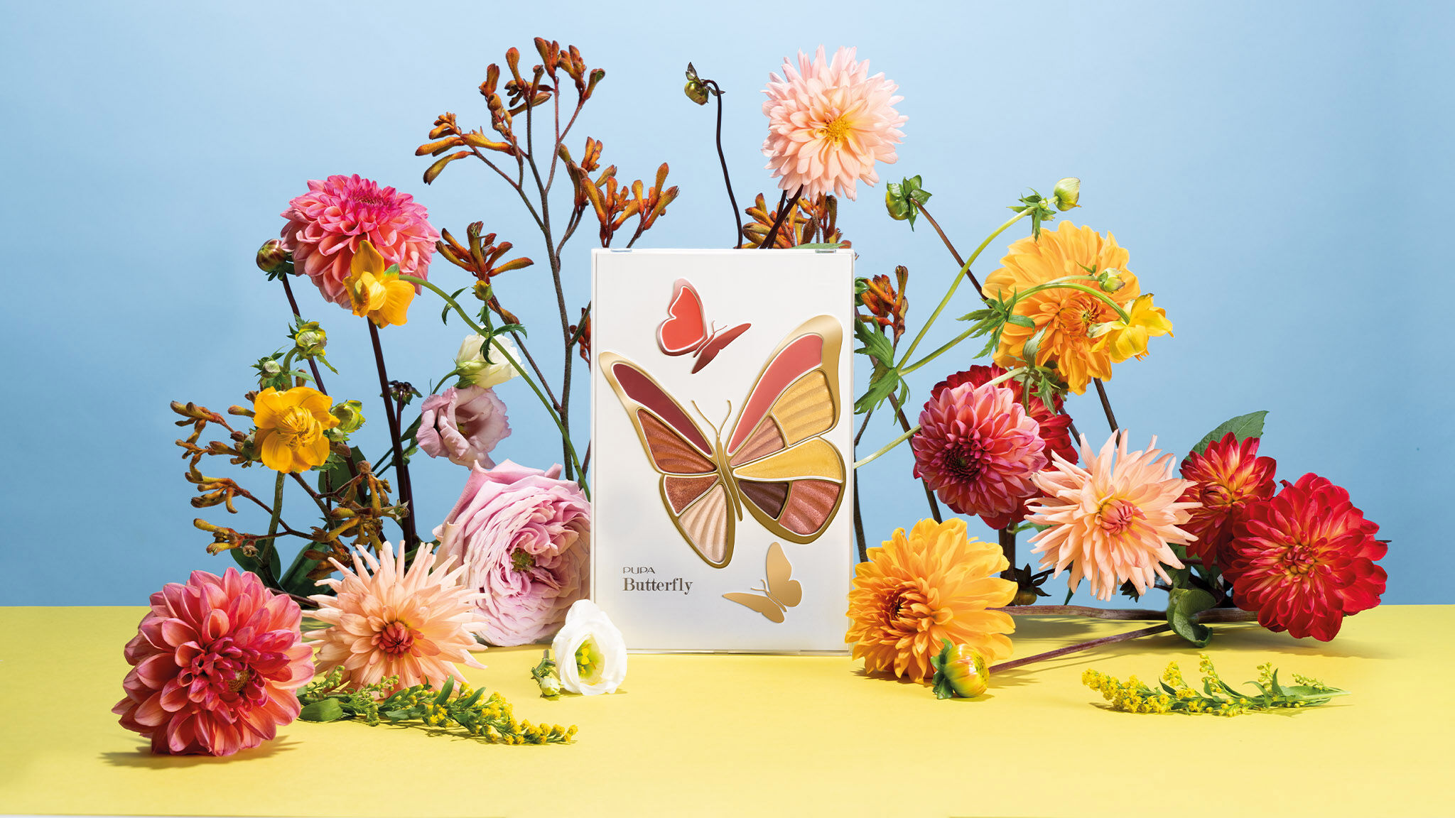 pupa-butterfly