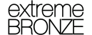 Prejsť na produkt: Extreme Bronze Radiant