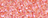 100-EXOTIC ROSE 100-EXOTIC ROSE