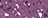 040494A101-PURPLE CRASH - GEMS 040494A101-PURPLE CRASH - GEMS