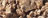 001-WARM NATURAL 001-WARM NATURAL